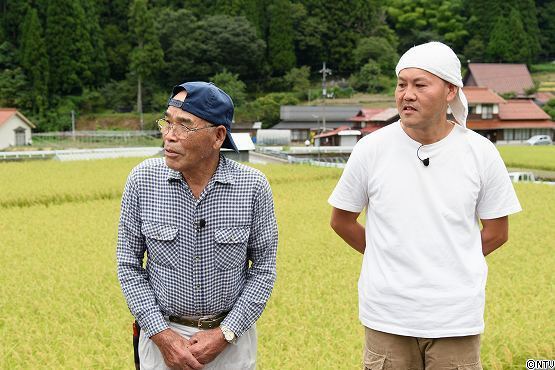 s-#374wasabi (29).jpg