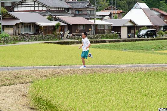 s-#374wasabi (10).jpg