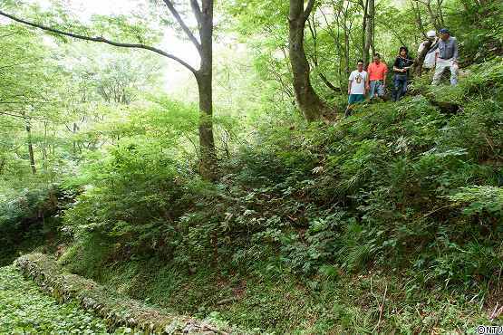 s-#374wasabi (67).jpg