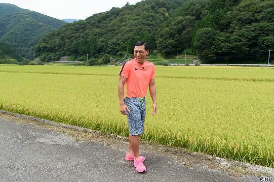 s-#374wasabi (48).jpg