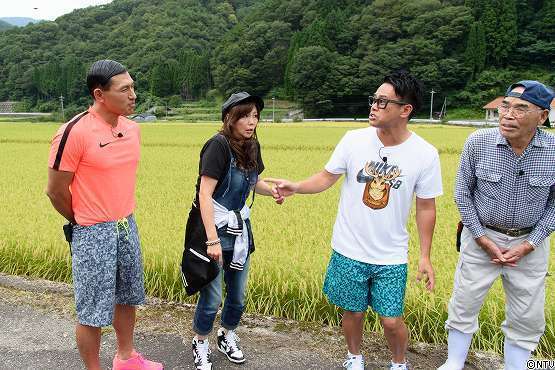 s-#374wasabi (43).jpg