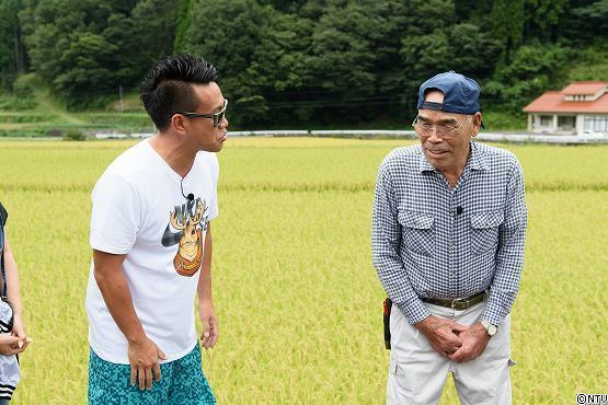 s-#374wasabi (37).jpg