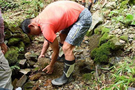 s-#374wasabi (95).jpg