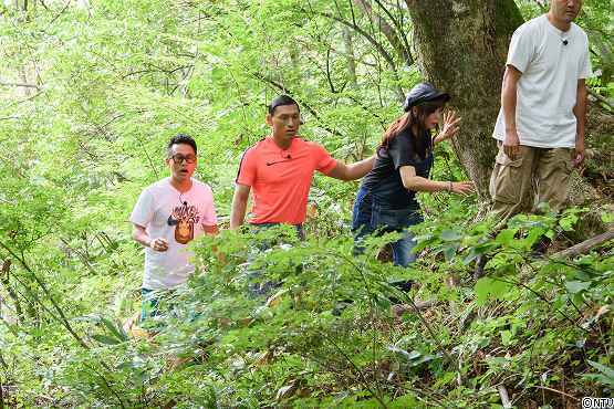 s-#374wasabi (60).jpg