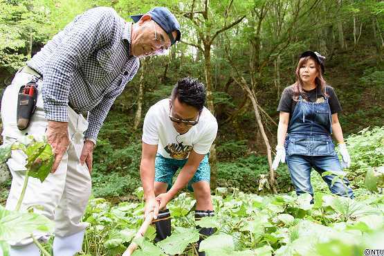 s-#374wasabi (149).jpg