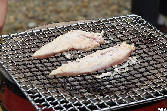 s-#374wasabi (228).jpg