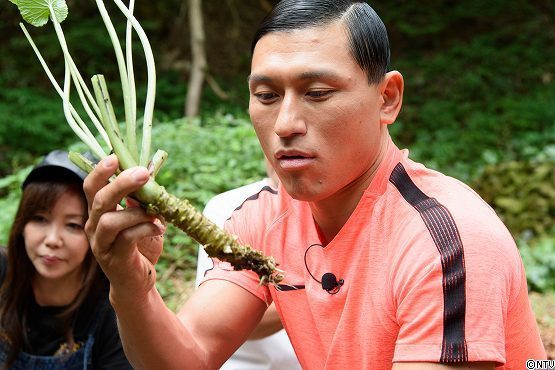 s-#374wasabi (172).jpg