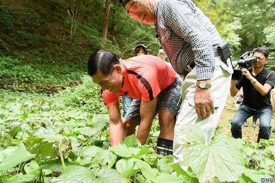 s-#374wasabi (137).jpg