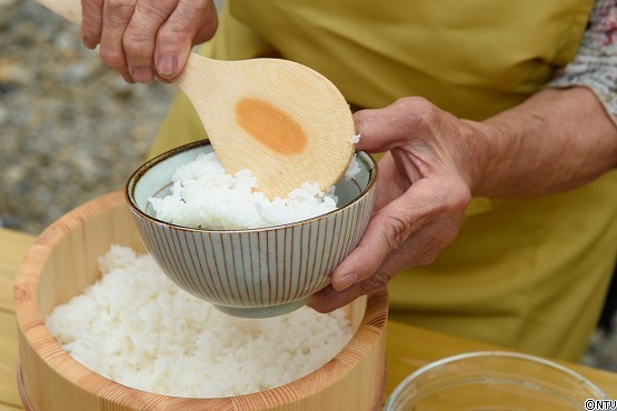 s-#374wasabi (376).jpg