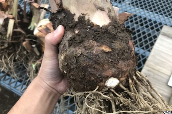 スクリーンショット 2019-11-21 10.33.51.png