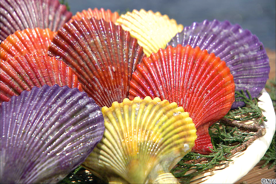 #555____スクリーンショット 2020-05-22 12.21.46.png