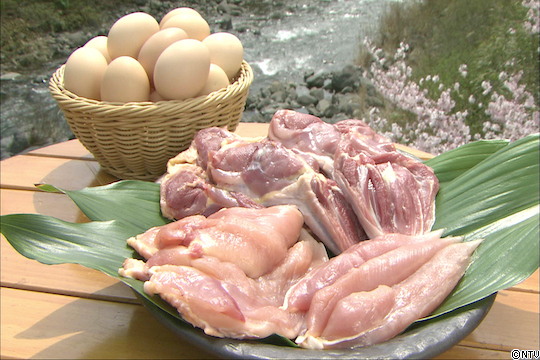 #555____スクリーンショット 2020-05-22 12.28.36.png