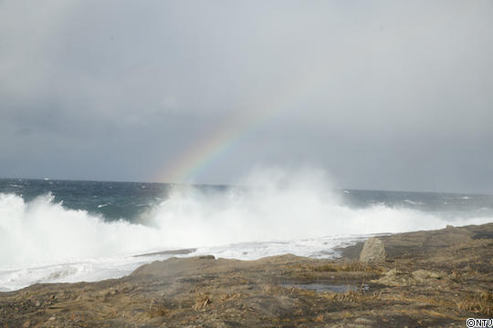 #538_0055.jpg