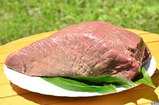 ＃557 東北総集編SP119.JPG