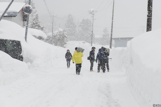 446-ひろっこ (2).jpg