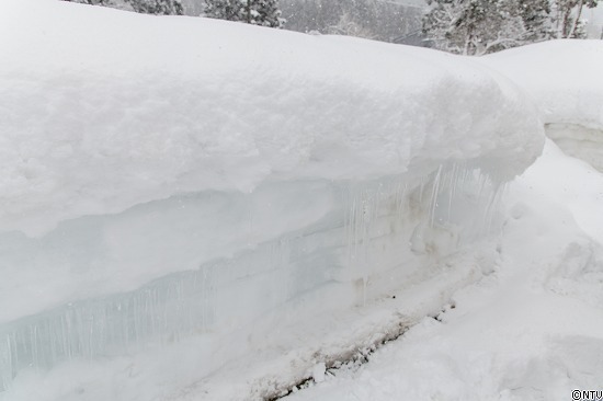 446-ひろっこ (38).jpg