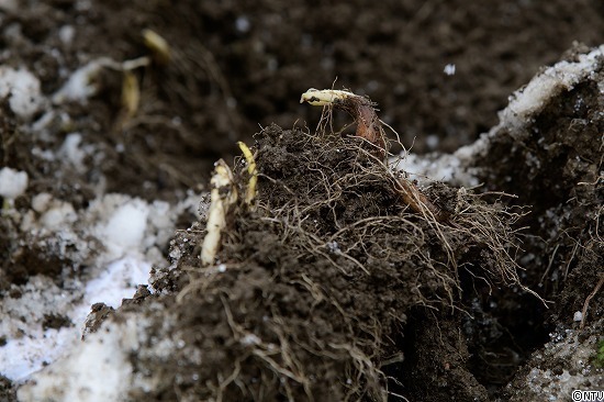 446-ひろっこ (146).jpg