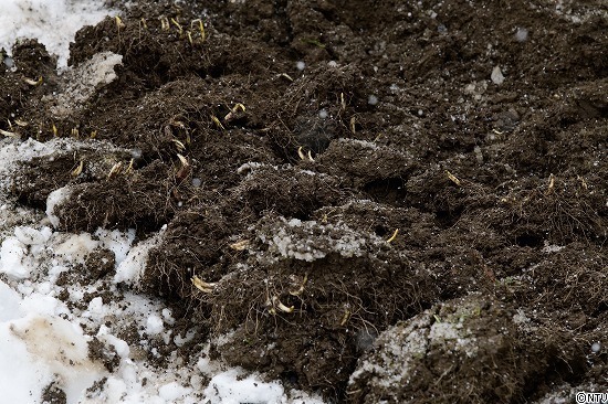 446-ひろっこ (167).jpg