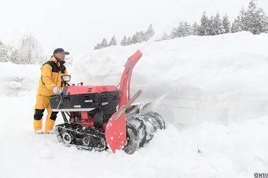 446-ひろっこ (112).jpg