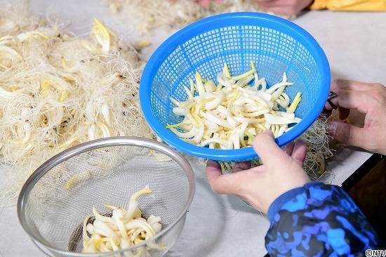 446-ひろっこ (302).jpg