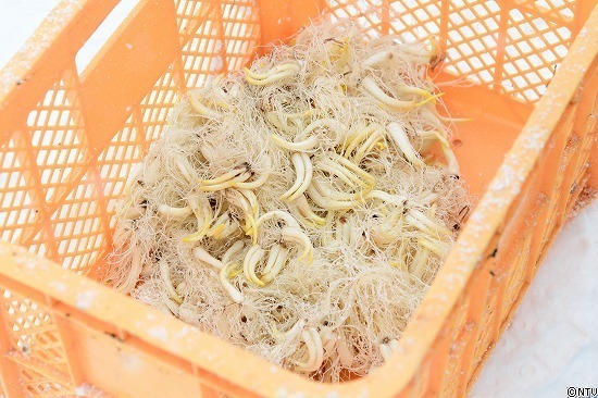 446-ひろっこ (272).jpg