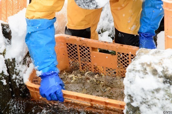 446-ひろっこ (224).jpg