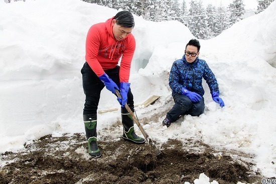 446-ひろっこ (156).jpg