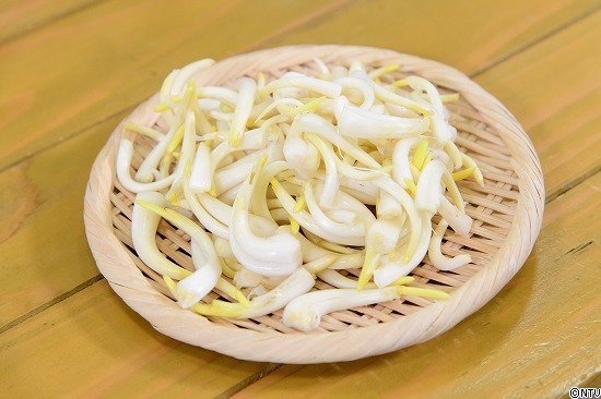 446-ひろっこ (327).jpg