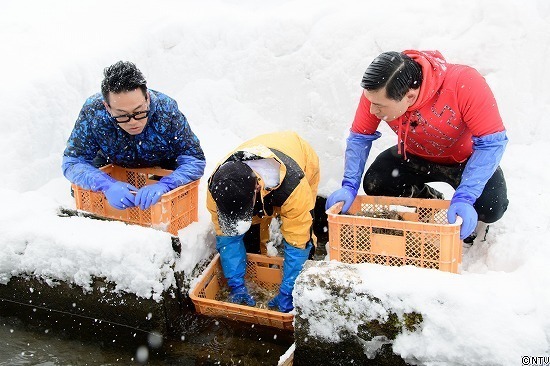 446-ひろっこ (226).jpg