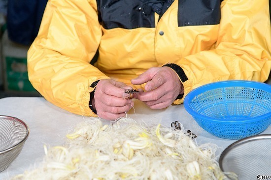 446-ひろっこ (279).jpg