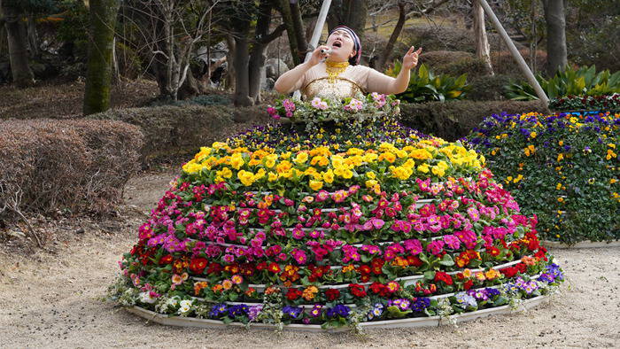 有吉の壁 今夜は おもしろフラワーパークの人選手権 ブレイクアーティスト選手権 見どころ紹介 有吉の壁 日本テレビ