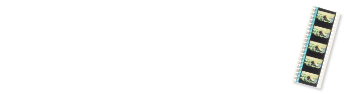 『時をかける少女』、『サマーウォーズ』、『おおかみこどもの雨と雪』の上映で実際に使用された貴重な映画フィルムを先着でプレゼント！