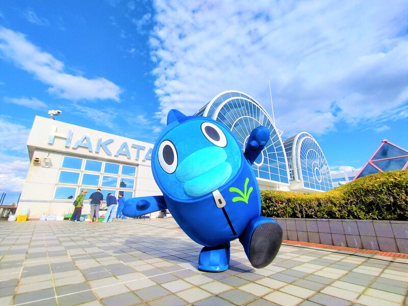 全国アマモサミット｣日本テレビ初参加｜日本列島 ブルーカーボン