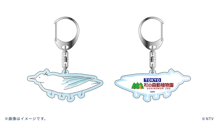 ぼくたちん家」番組オリジナルグッズ発売決定！｜ぼくたちん家｜日本テレビ