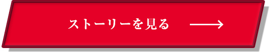 ストーリーを見る