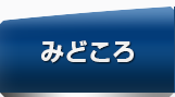 みどころ