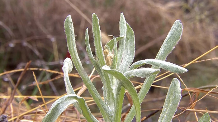 新宿dash 新宿の屋上にメダカの学校作れるか ザ 鉄腕 Dash 日本テレビ 新宿dash 新宿の屋上にメダカの学校作れるか ザ 鉄腕 Dash 日本テレビ