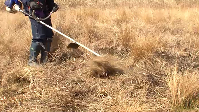 Dash村 福島 葛尾村の荒れ地を田んぼに ザ 鉄腕 Dash 日本テレビ