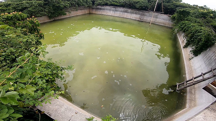 DASH島 ～無人島養殖計画 完結～｜ザ！鉄腕！DASH!!｜日本テレビ