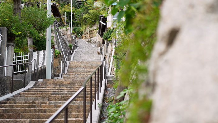 タンデム自転車で坂の町をpr 広島県尾道市 ザ 鉄腕 Dash 日本テレビ