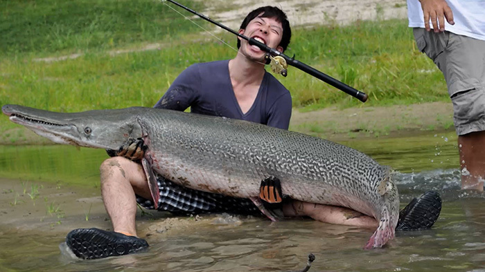 【未使用】鉄緑会物理の登竜門　最終価格 四国化成 | ユニットラインGRA1型((方杖付)電動式)【2023年版