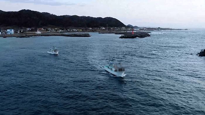 00] クロカジキ 角 吻 7本セット 00] クロカジキ 角 吻 3本セット