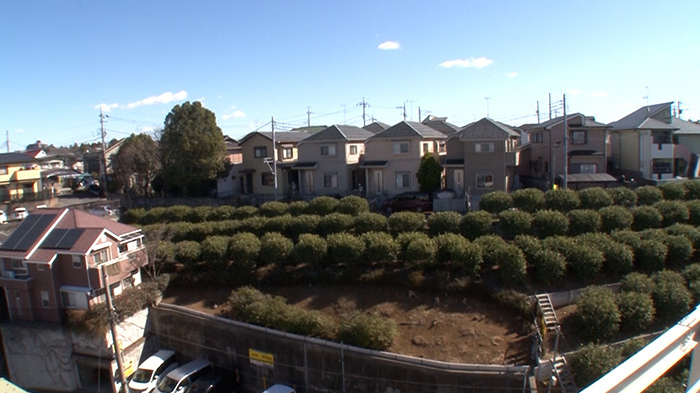 出張dash村 千葉県 レモン ザ 鉄腕 Dash 日本テレビ