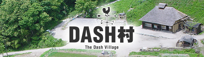 次回5月16日の ザ 鉄腕 Dash は Dash村 Dash島 ザ 鉄腕 Dash 日本テレビ