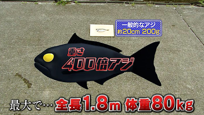 新企画始動！DASH巨大食堂｜ザ！鉄腕！DASH!!｜日本テレビ