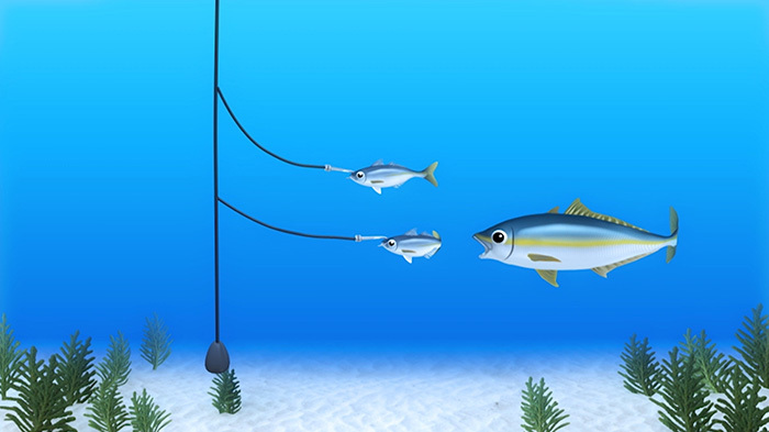 DASH島 ～泳がせ釣り～｜ザ！鉄腕！DASH!!｜日本テレビ