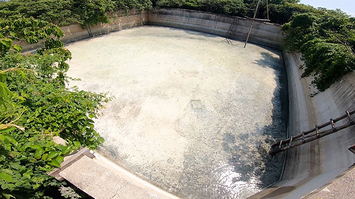 Dash島 養殖計画 巨大風車で海水を汲み上げられるか ザ 鉄腕 Dash 日本テレビ