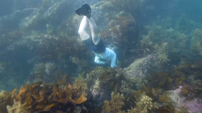 DASH島 ～舟屋 真夏の大修理～｜ザ！鉄腕！DASH!!｜日本テレビ