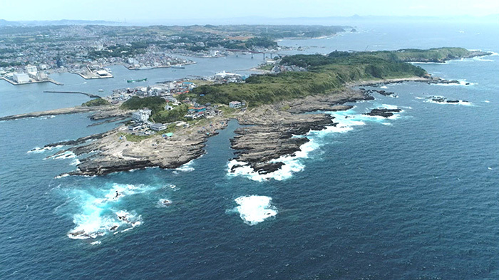 Dash海岸 城ヶ島のマコちゃん ザ 鉄腕 Dash 日本テレビ