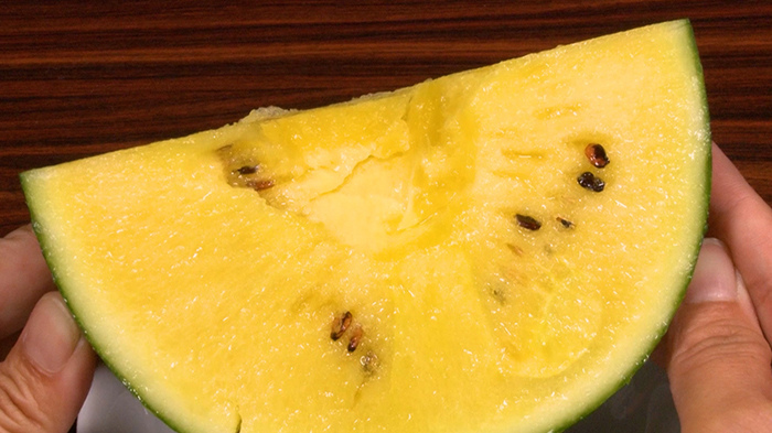 スイカ 楽天市場】キャノンボール 200粒詰 スイカ すいか 西瓜 宇治交配 【丸